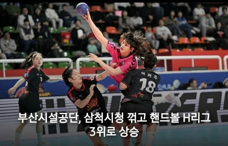 i1505031723_y6n5zYWp7F.webp
