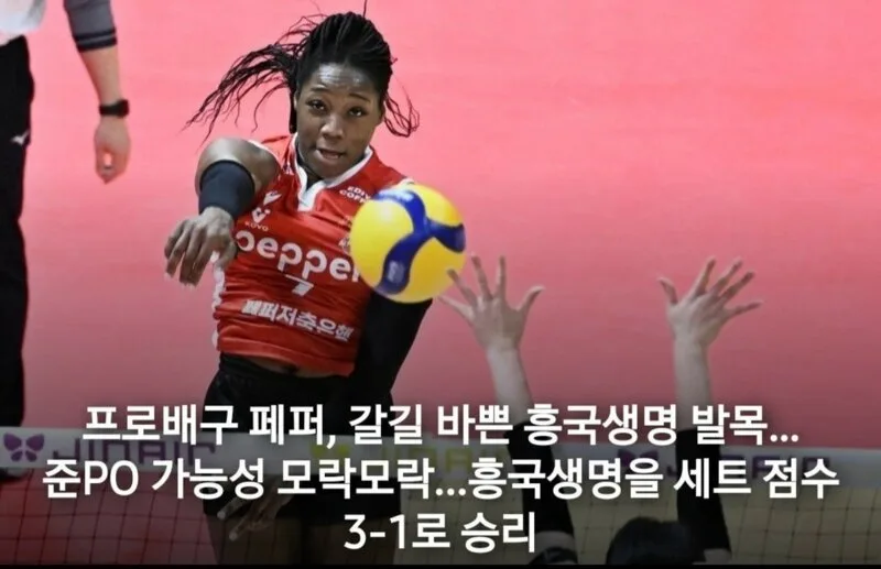 i1688842862_GM4VPv17NE.webp