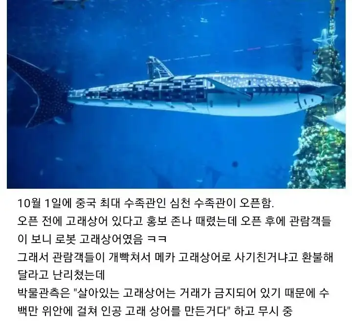 7583404851_486616_99b983892094b5c6d2fc3736e15da7d1_61nFXXIe5Q.webp