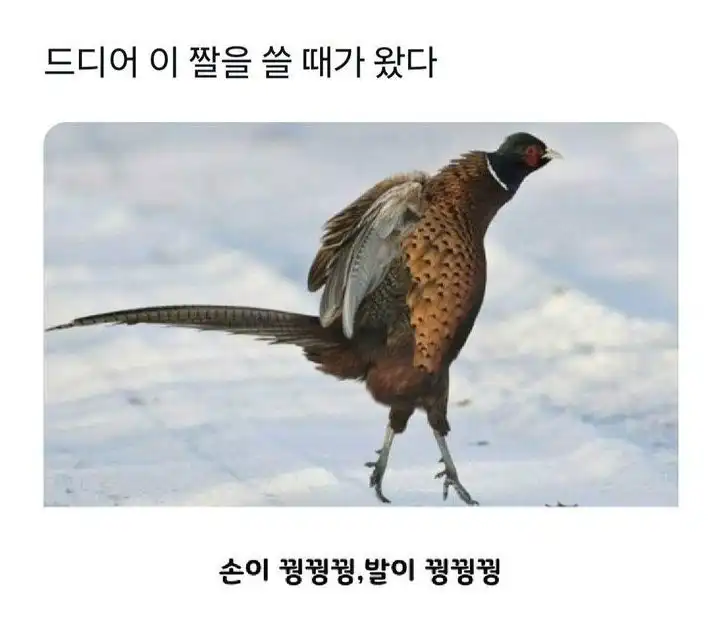 1734055420429908_k50IaTXjwp.webp