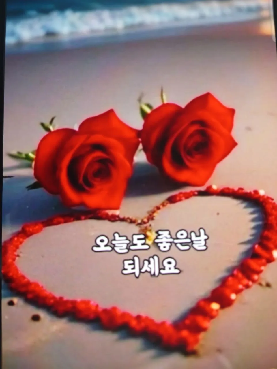 img_20251122_143832_012_n2vuGSuzS9.webp
