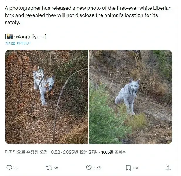 i1187735940_iBsiM0qylK.webp