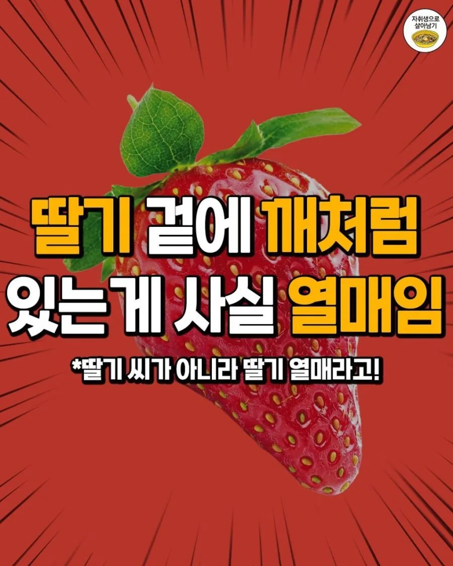 17560430653518_0gFWrpqiYJ.webp