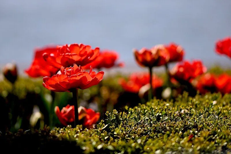 img_20260329_202826_017_v60G063Klj.webp